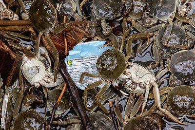 BUITEN BEELD Foto: 417454