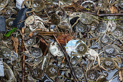 BUITEN BEELD Foto: 417455