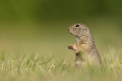 BUITEN BEELD Foto: 417702