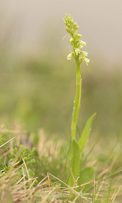 BUITEN BEELD Foto: 417729