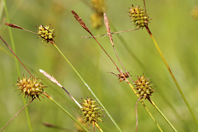 BUITEN BEELD Foto: 417795