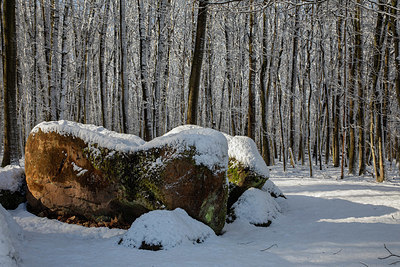 BUITEN BEELD Foto: 417827