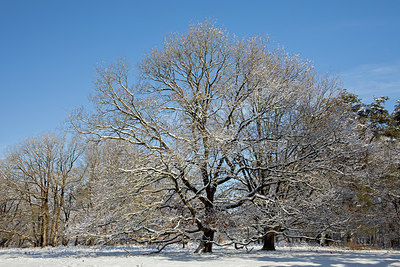 BUITEN BEELD Foto: 417828