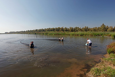 BUITEN BEELD Foto: 417871