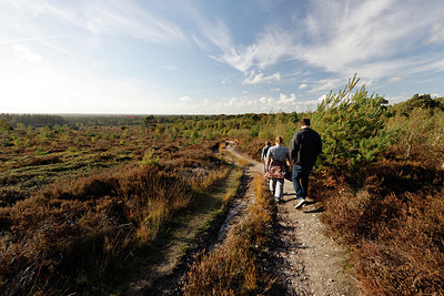 BUITEN BEELD Foto: 417896