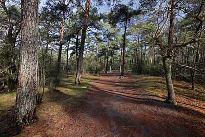 BUITEN BEELD Foto: 417984