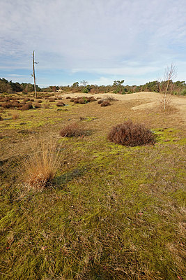 BUITEN BEELD Foto: 417985