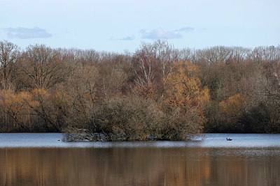 BUITEN BEELD Foto: 418006