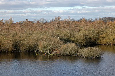BUITEN BEELD Foto: 418010