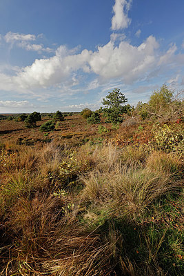 BUITEN BEELD Foto: 418013