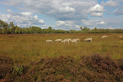 BUITEN BEELD Foto: 418019