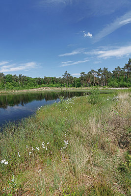 BUITEN BEELD Foto: 418037