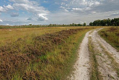 BUITEN BEELD Foto: 418053