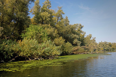 BUITEN BEELD Foto: 418060