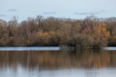 BUITEN BEELD Foto: 418078