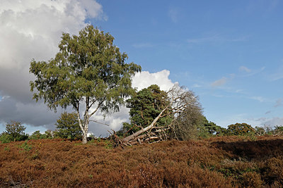 BUITEN BEELD Foto: 418086