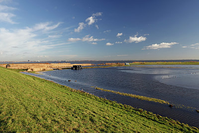 BUITEN BEELD Foto: 418089