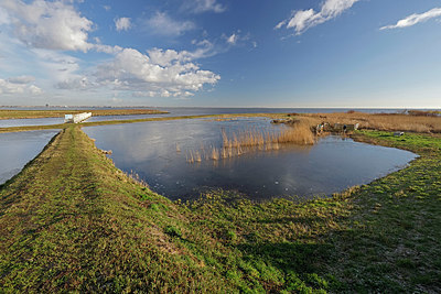 BUITEN BEELD Foto: 418092