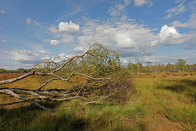 BUITEN BEELD Foto: 418102