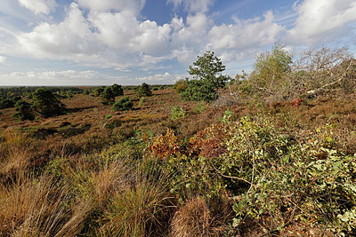 BUITEN BEELD Foto: 418105