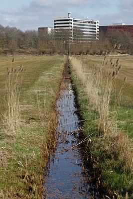 BUITEN BEELD Foto: 418109