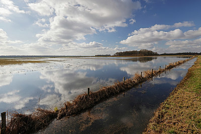 BUITEN BEELD Foto: 418111