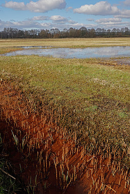BUITEN BEELD Foto: 418117