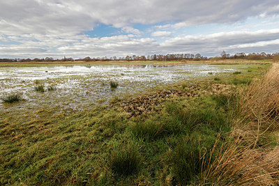 BUITEN BEELD Foto: 418129