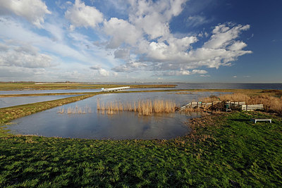 BUITEN BEELD Foto: 418141