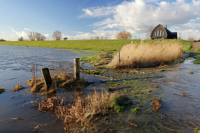 BUITEN BEELD Foto: 418145