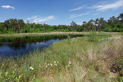 BUITEN BEELD Foto: 418146