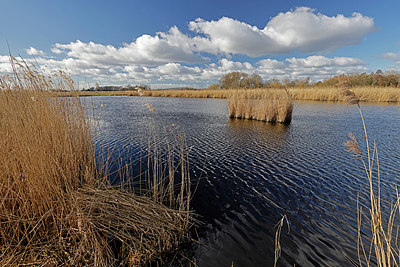 BUITEN BEELD Foto: 418151