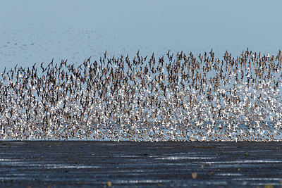 BUITEN BEELD Foto: 418173