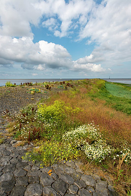 BUITEN BEELD Foto: 418235