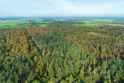 BUITEN BEELD Foto: 418247