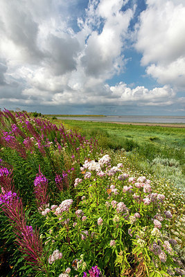 BUITEN BEELD Foto: 418339