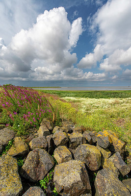 BUITEN BEELD Foto: 418342