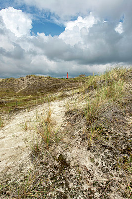 BUITEN BEELD Foto: 418346