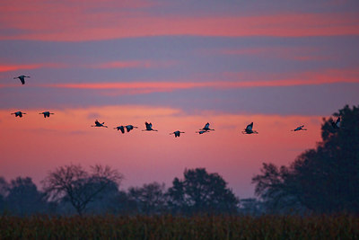 BUITEN BEELD Foto: 418445