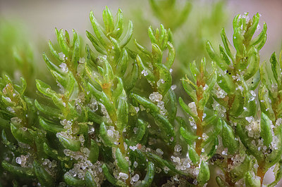 BUITEN BEELD Foto: 418544