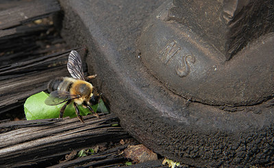 BUITEN BEELD Foto: 418683