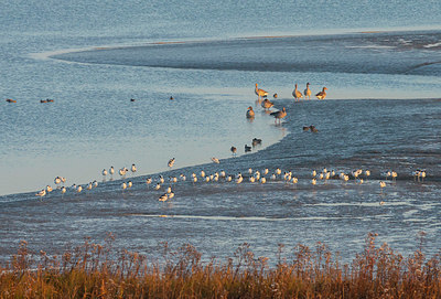 BUITEN BEELD Foto: 418835