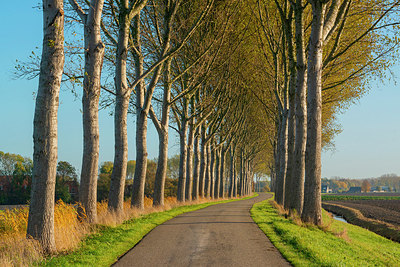 BUITEN BEELD Foto: 418844