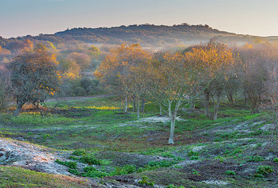 BUITEN BEELD Foto: 418849