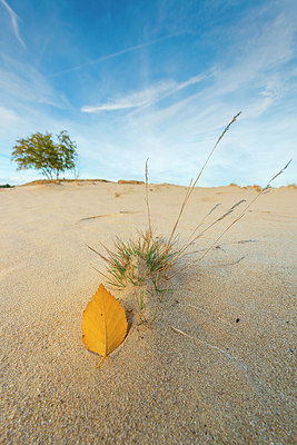 BUITEN BEELD Foto: 418852