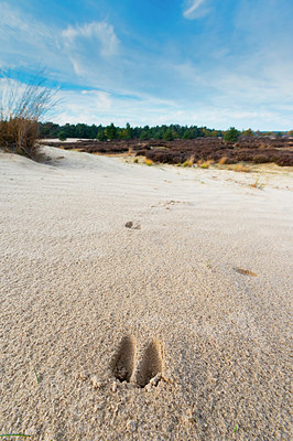 BUITEN BEELD Foto: 418874