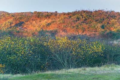 BUITEN BEELD Foto: 418878