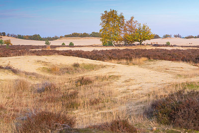 BUITEN BEELD Foto: 418879