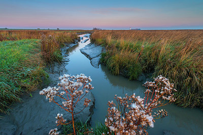 BUITEN BEELD Foto: 418884