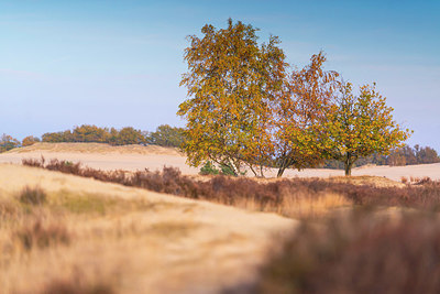 BUITEN BEELD Foto: 418885